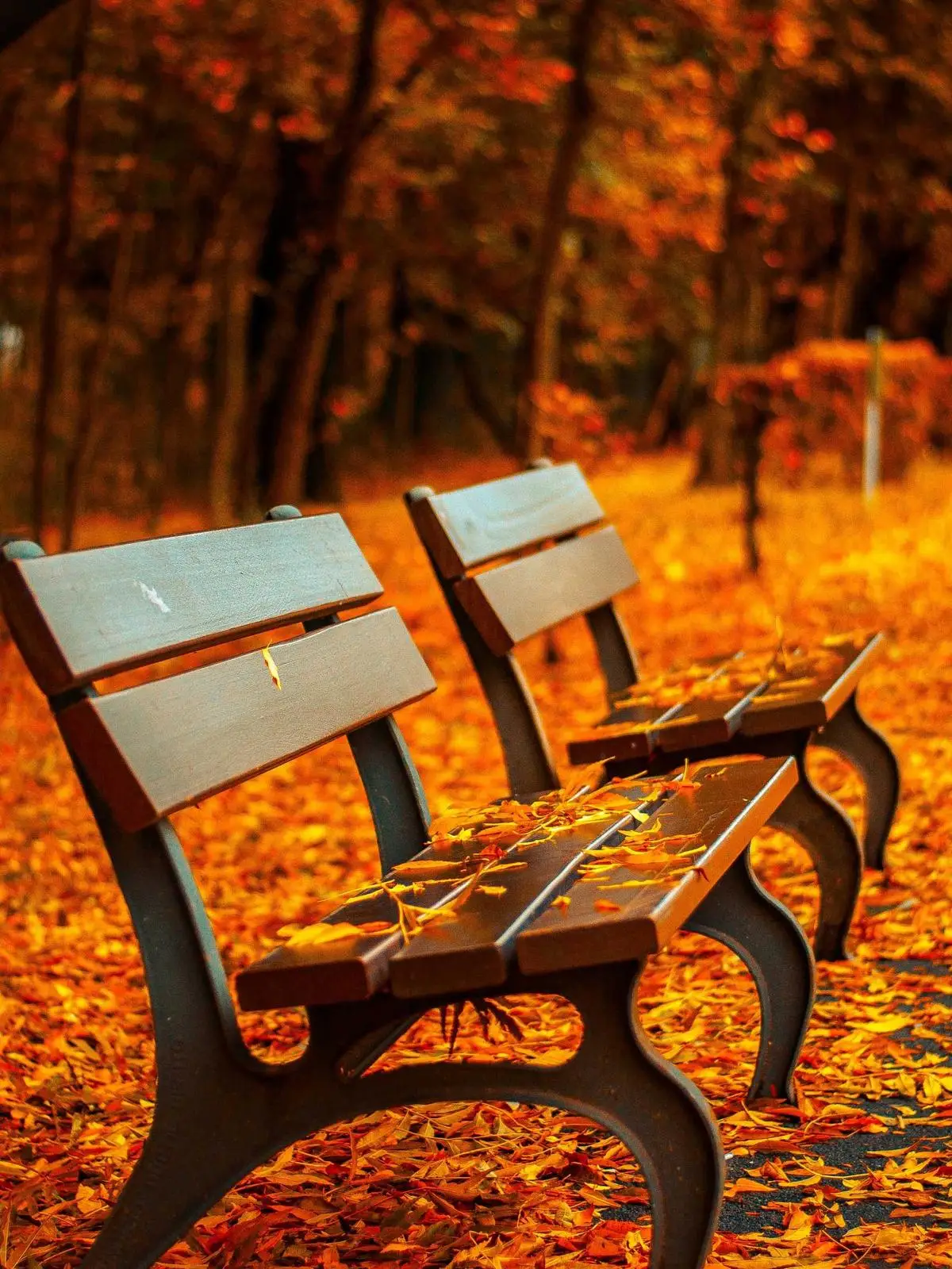 Minimal studio fashion portrait with dark tailored styling