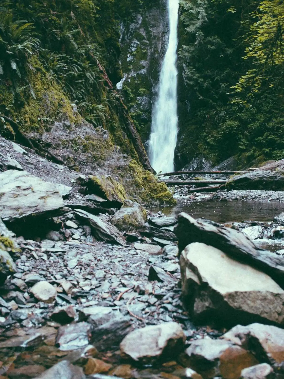 Minimal studio look featuring refined merino knit socks
