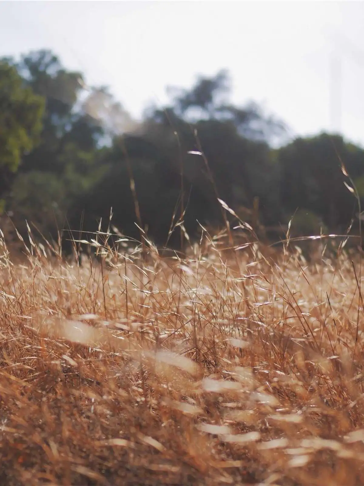 Close-up of deep navy yarn texture and weave detail